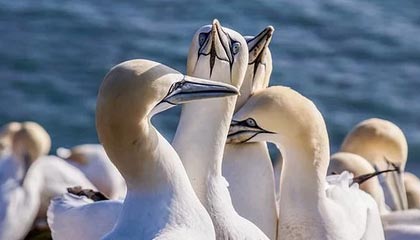 中国坚定决心，2200万吨订单全部取消？特朗普怒不可遏，对华挥出新一轮制裁重拳，美国农民欲哭无泪