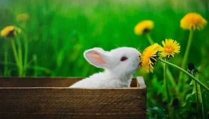 别再想着什么击沉美航母了！击沉一艘航母有多难？简直难以想象