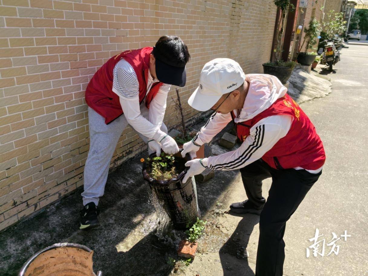 顺德超3300名党员干部下沉一线，党群联动打响蚊媒防控歼灭战