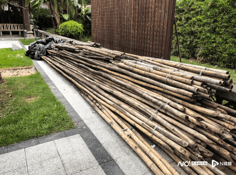 暗访回头看：广州口袋公园乱象整改成效如何？记者再探