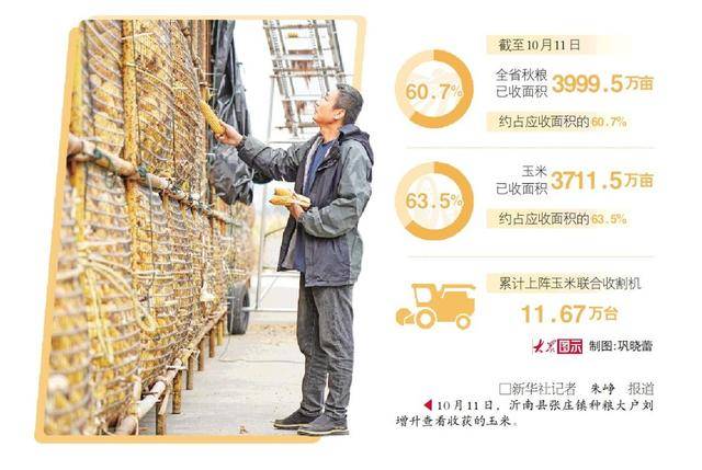 湿粮保卫战怎么打？昼夜不停机、厂房变晒场！