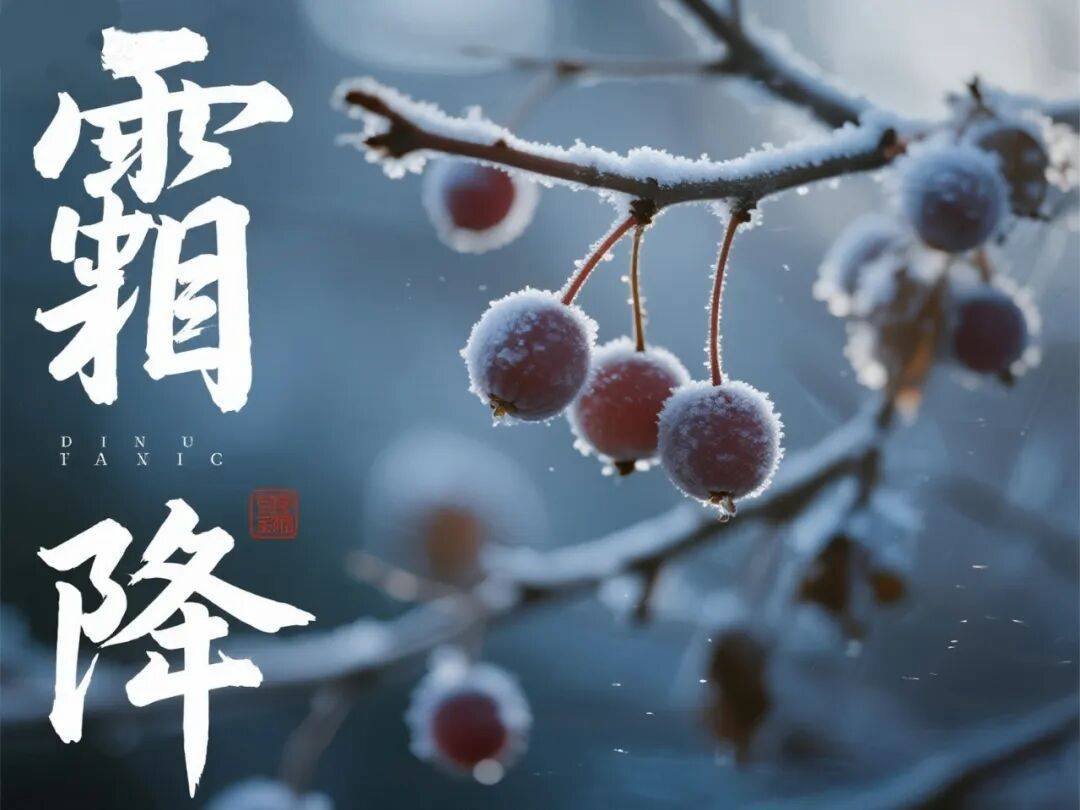 今日霜降｜菊黄迎晚秋 天寒露成霜