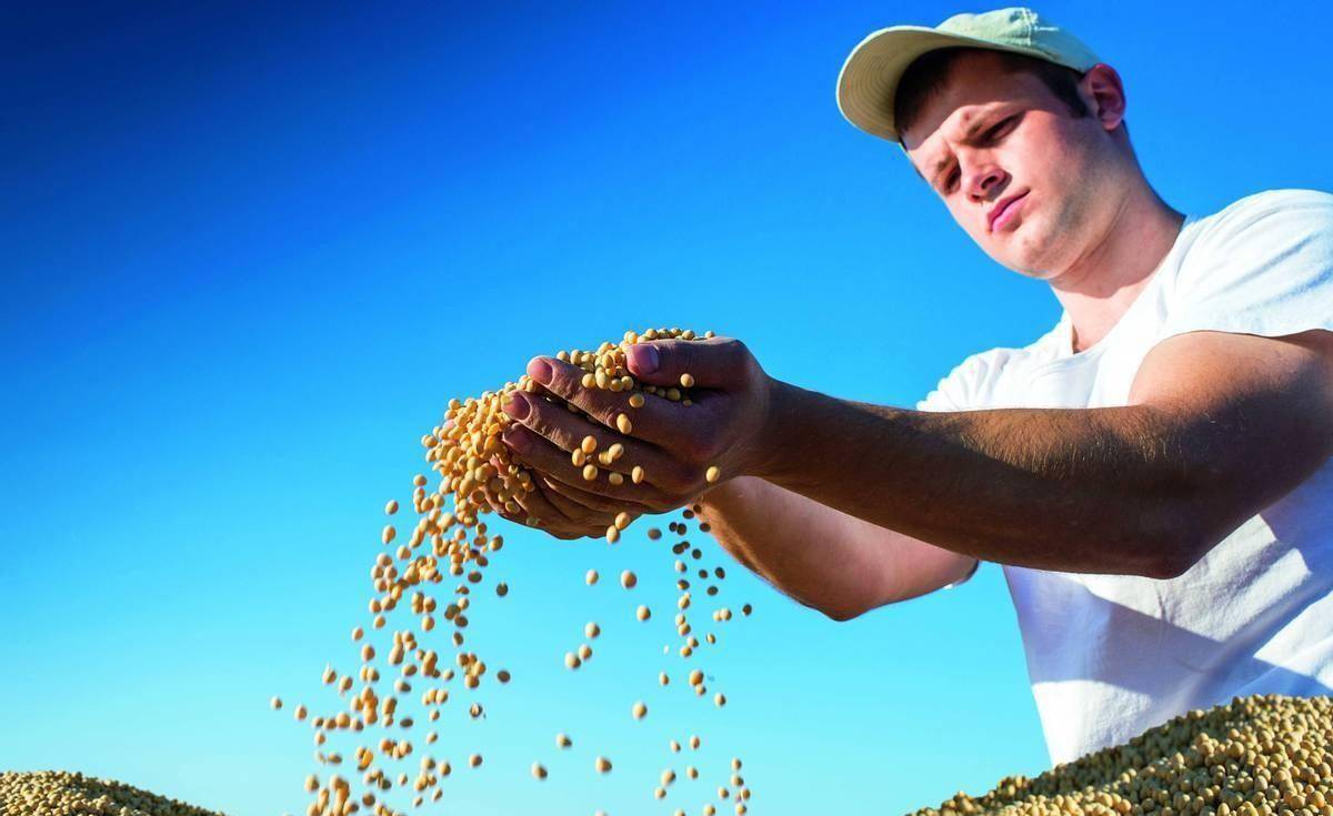 特朗普单方面宣布访华时间，急于访华就是为了签大单？中方的回应滴水不漏