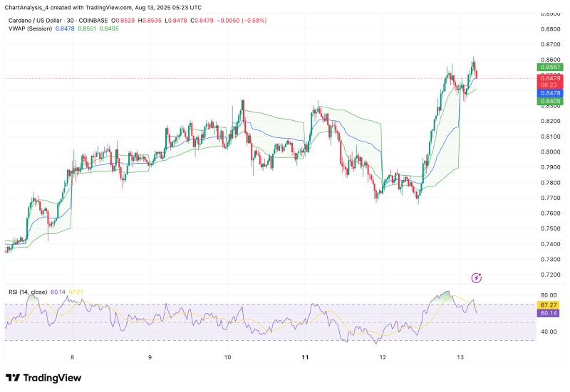 ADA-艾达币交易网站(ada艾达币2021前景)