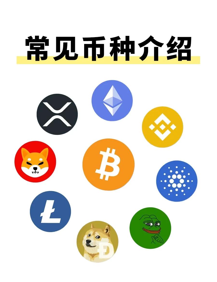 包含XRP-瑞波币app的词条